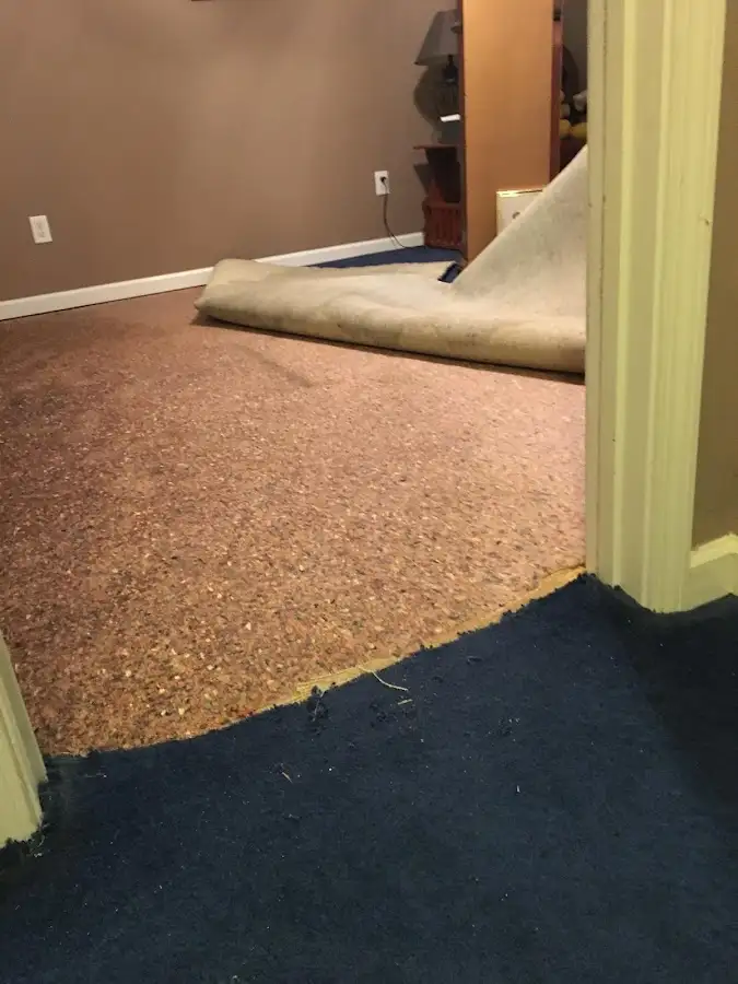 Carpet pad removal revealing water damage during Drying & Dehumidification in Wilson