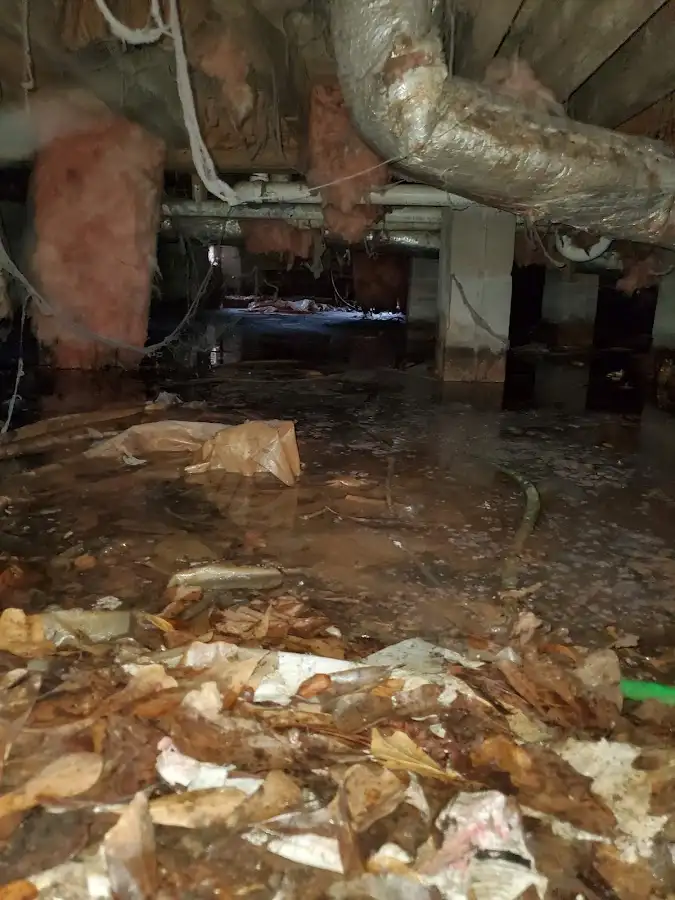 Crawl space flood assessment for Leak Detection & Repair in Wilson
